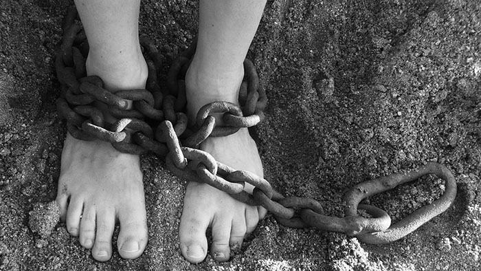 Human trafficking pedophile rings