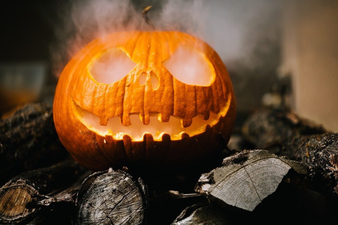 I'm carving a pumpkin a day leading up to Halloween. Tonight, night two, is  the Browns logo. : r/Browns