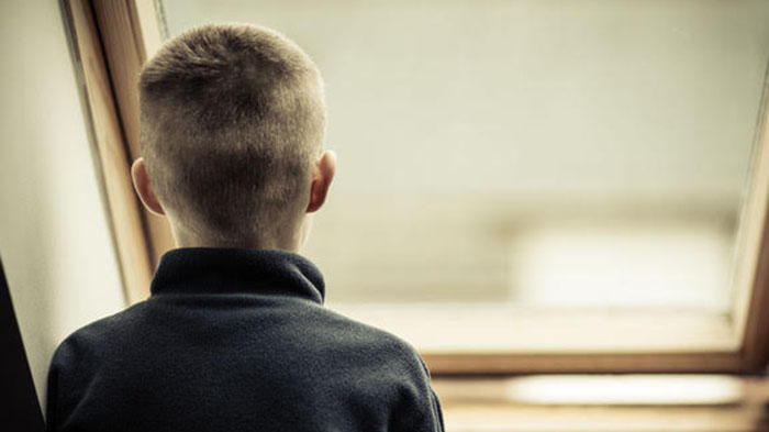 Custody Court Crisis Save my son from “The Penis Game”, Judge orders boy into father's sexual abuse with custody
