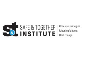 Safe and Together Institute