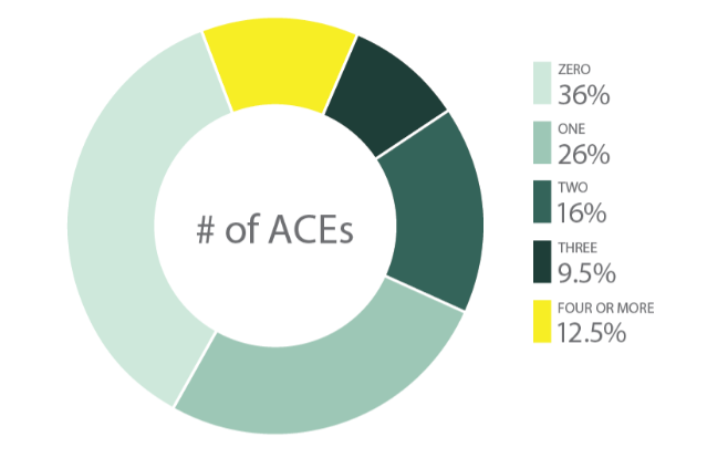 Adverse Childhood Experience Abuse ACEs