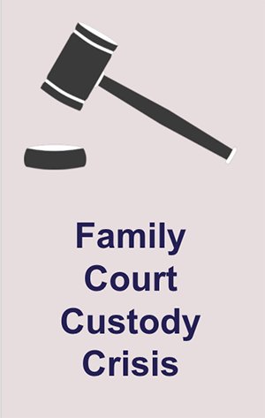 Family court custody crisis