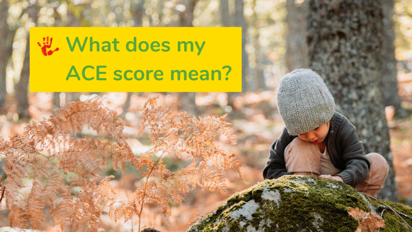 what-does-your-ace-score-mean